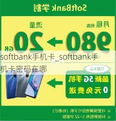 softbank手机卡_softbank手机卡密码在哪