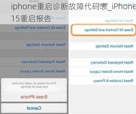 iphone重启诊断故障代码表_iPhone15重启报告