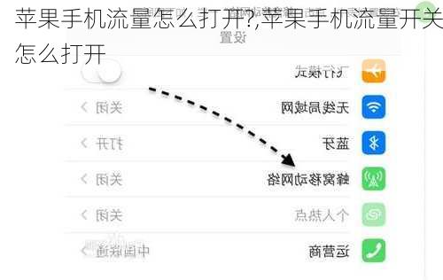 苹果手机流量怎么打开?,苹果手机流量开关怎么打开