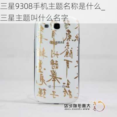 三星9308手机主题名称是什么_三星主题叫什么名字