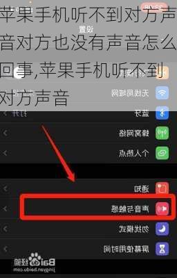 苹果手机听不到对方声音对方也没有声音怎么回事,苹果手机听不到对方声音