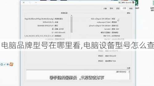 电脑品牌型号在哪里看,电脑设备型号怎么查