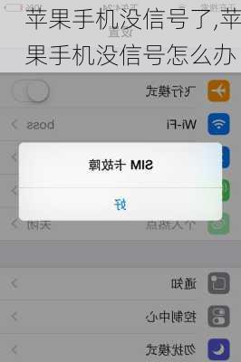 苹果手机没信号了,苹果手机没信号怎么办