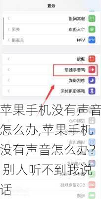 苹果手机没有声音怎么办,苹果手机没有声音怎么办? 别人听不到我说话