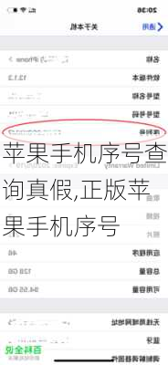 苹果手机序号查询真假,正版苹果手机序号
