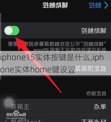 iphone15实体按键是什么,iphone实体home键设置