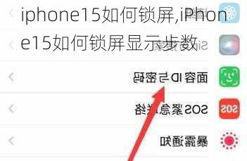 iphone15如何锁屏,iPhone15如何锁屏显示步数