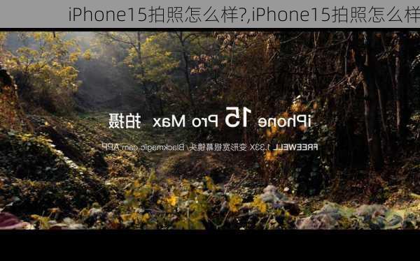 iPhone15拍照怎么样?,iPhone15拍照怎么样