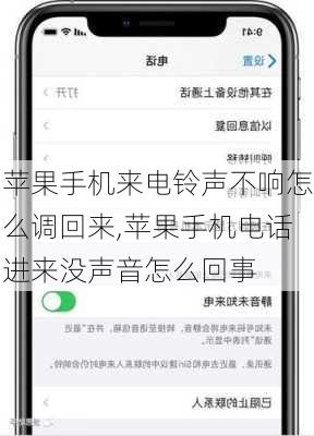 苹果手机来电铃声不响怎么调回来,苹果手机电话进来没声音怎么回事
