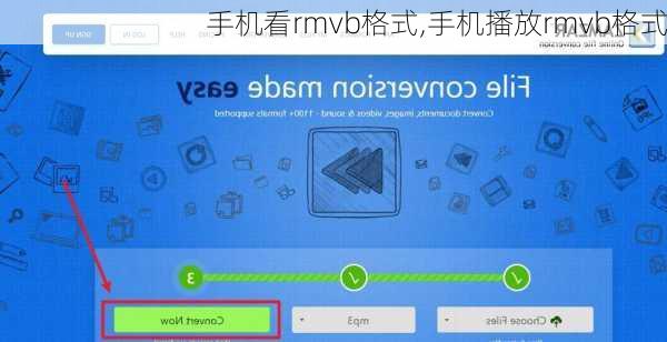 手机看rmvb格式,手机播放rmvb格式