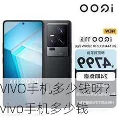 VIVO手机多少钱呀?_vivo手机多少钱