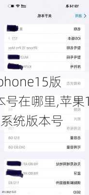 iphone15版本号在哪里,苹果15系统版本号