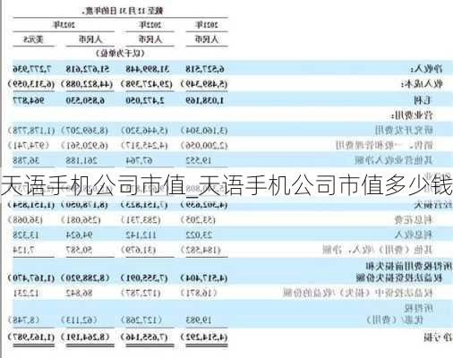 天语手机公司市值_天语手机公司市值多少钱