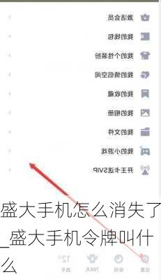 盛大手机怎么消失了_盛大手机令牌叫什么