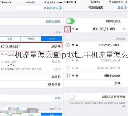 手机流量怎么查ip地址,手机流量怎么查