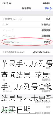 苹果手机序列号查询结果_苹果手机序列号查询结果显示未更新购买日期