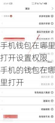 手机钱包在哪里打开设置权限_手机的钱包在哪里打开