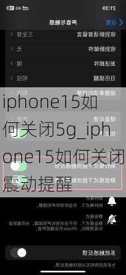 iphone15如何关闭5g_iphone15如何关闭震动提醒