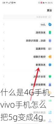 什么是4G手机_vivo手机怎么把5g变成4g