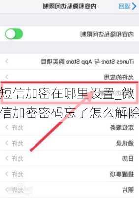 短信加密在哪里设置_微信加密密码忘了怎么解除