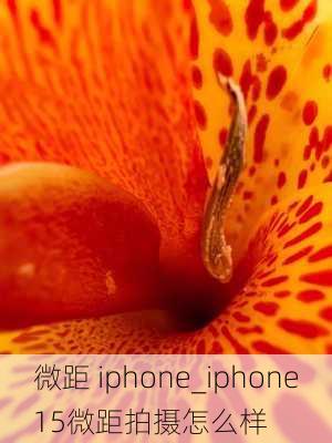 微距 iphone_iphone15微距拍摄怎么样