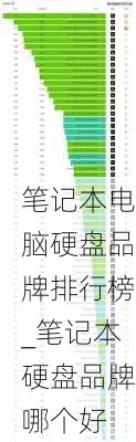 笔记本电脑硬盘品牌排行榜_笔记本硬盘品牌哪个好