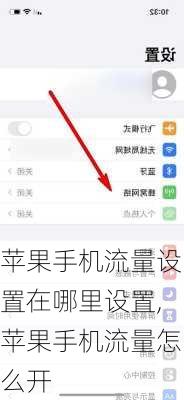 苹果手机流量设置在哪里设置,苹果手机流量怎么开
