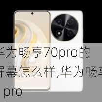 华为畅享70pro的屏幕怎么样,华为畅享7 pro