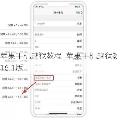 苹果手机越狱教程_苹果手机越狱教程16.1版