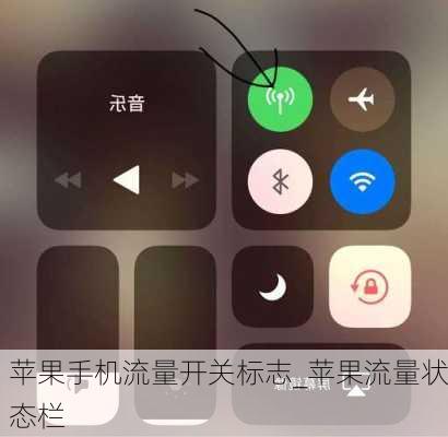 苹果手机流量开关标志_苹果流量状态栏