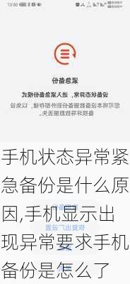 手机状态异常紧急备份是什么原因,手机显示出现异常要求手机备份是怎么了