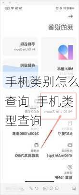 手机类别怎么查询_手机类型查询