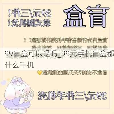 99盲盒可以退吗_99元手机盲盒都什么手机