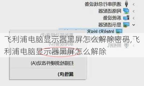 飞利浦电脑显示器黑屏怎么解除密码,飞利浦电脑显示器黑屏怎么解除