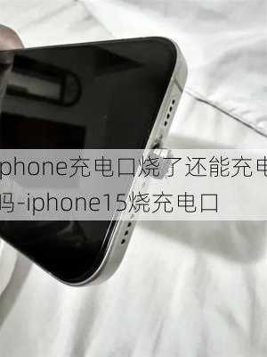 iphone充电口烧了还能充电吗-iphone15烧充电口