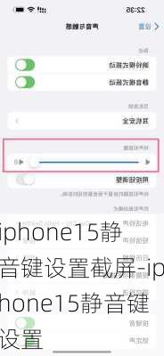 iphone15静音键设置截屏-iphone15静音键设置