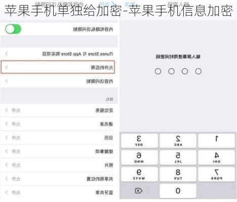苹果手机单独给加密-苹果手机信息加密