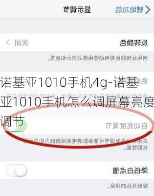 诺基亚1010手机4g-诺基亚1010手机怎么调屏幕亮度调节