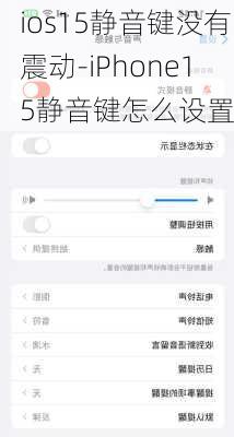 ios15静音键没有震动-iPhone15静音键怎么设置