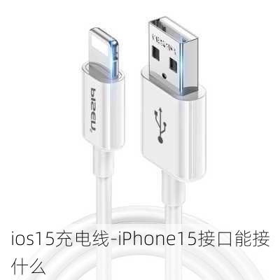 ios15充电线-iPhone15接口能接什么