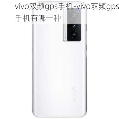 vivo双频gps手机-vivo双频gps手机有哪一种