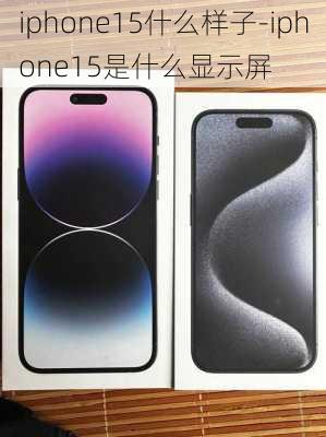 iphone15什么样子-iphone15是什么显示屏