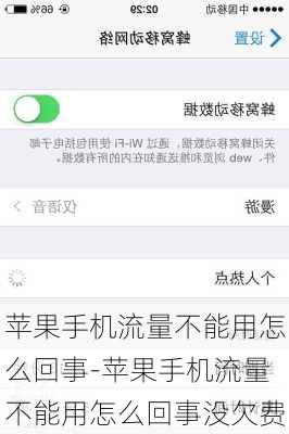 苹果手机流量不能用怎么回事-苹果手机流量不能用怎么回事没欠费