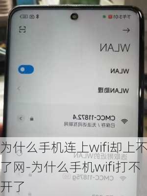 为什么手机连上wifi却上不了网-为什么手机wifi打不开了