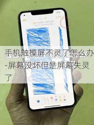 手机触摸屏不灵了怎么办-屏幕没坏但是屏幕失灵了