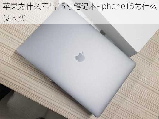 苹果为什么不出15寸笔记本-iphone15为什么没人买