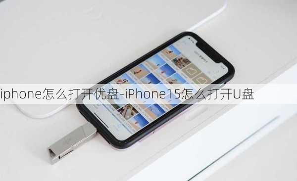 iphone怎么打开优盘-iPhone15怎么打开U盘