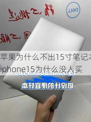 苹果为什么不出15寸笔记本-iphone15为什么没人买