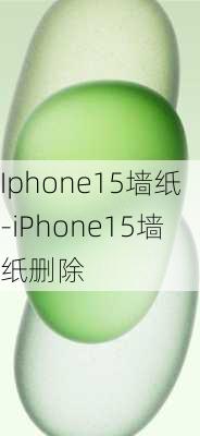 Iphone15墙纸-iPhone15墙纸删除