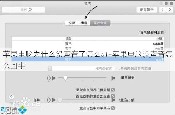 苹果电脑为什么没声音了怎么办-苹果电脑没声音怎么回事